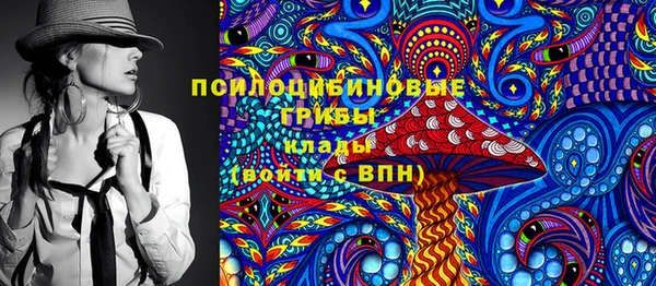 молекула духа Алзамай